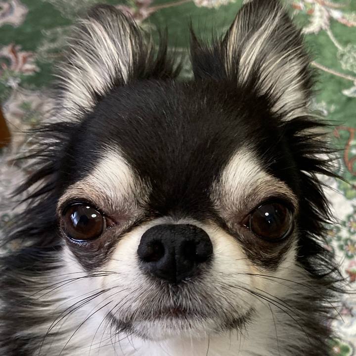 54e4fc58 33f5 42f8 bc0a ff10c1569a2f 1652571128448