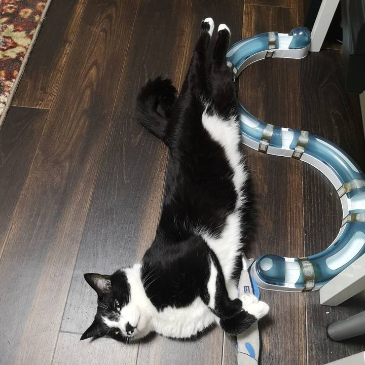 54e4fc71 8382 471c a942 9d21619ac6ca 1560179545826