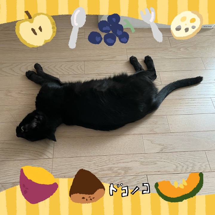 54e51217 bb60 40c2 98ba 6ead453a43a3 1727080933117