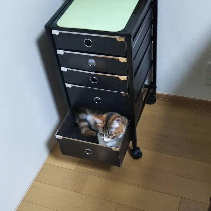 54e51240 9d62 473e 9f9a acb2f9817a8c 1654170686989