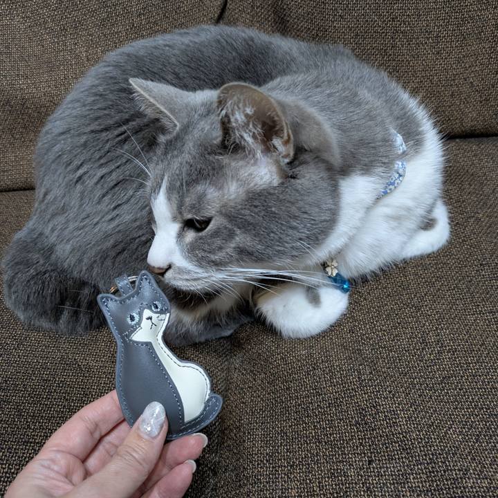 54e53017 98c5 4016 a592 be798f767303 1769086158620