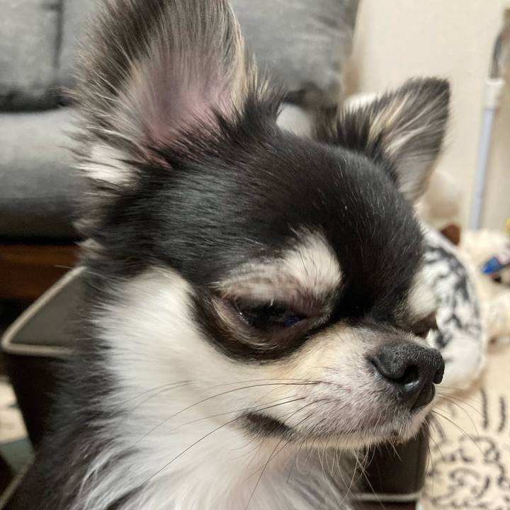 54e54011 b6d0 4b59 b001 7655eefd9422 1619703395640