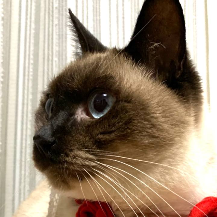 54e558bd d792 4a7a a1fb 001eed664457 1576286658048