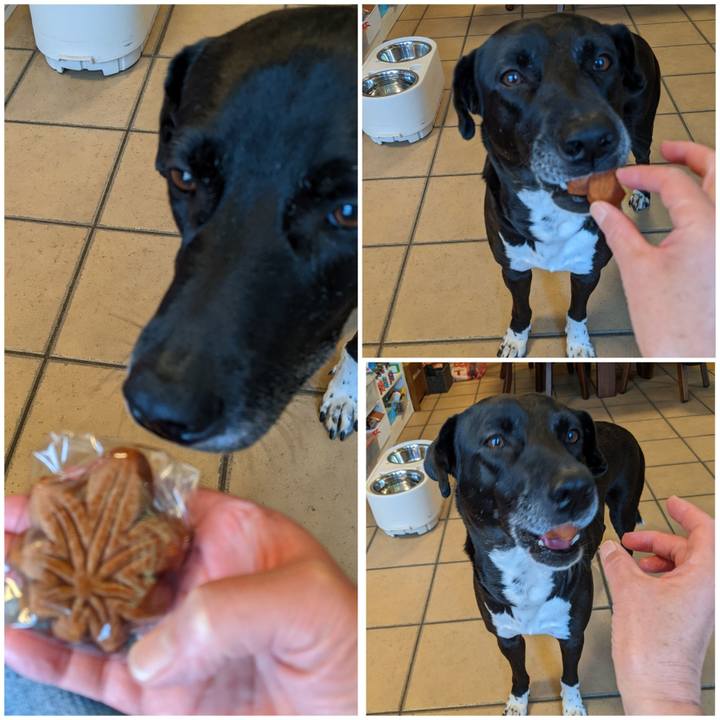 54e567da 96c0 4589 ad3b 03827133919c 1651749590173