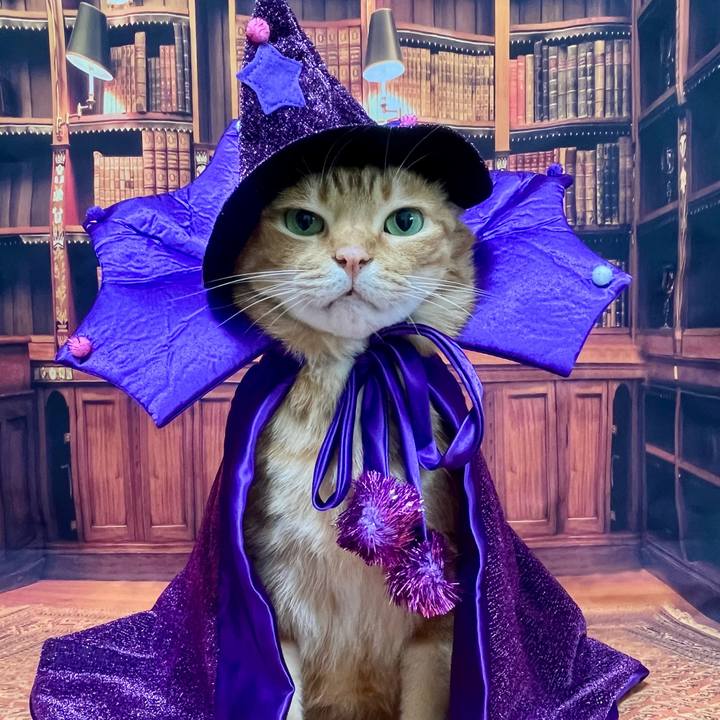 54e5748c fbbb 472f 8f8d b15b5e7ed424 1761867170770