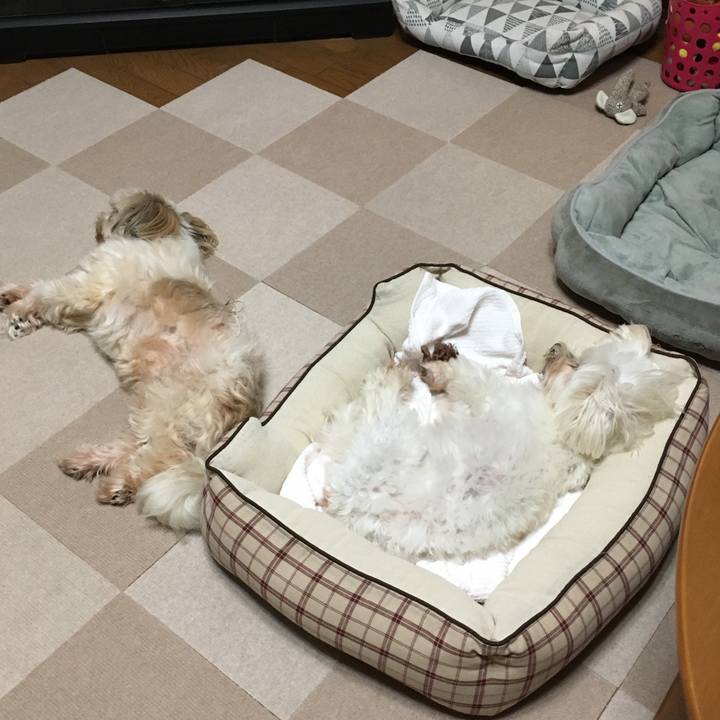 54e5894a 5fee 446a 9912 be099c576fc5 1633692791623