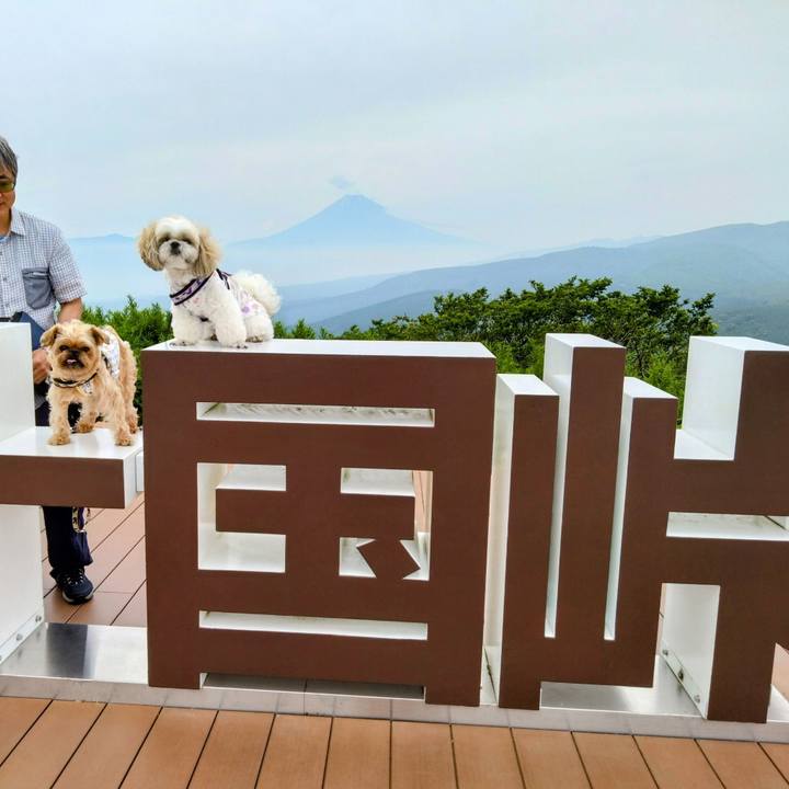 54e5ae4b 72b9 4792 a46e c77b1af66d47 1687096035699