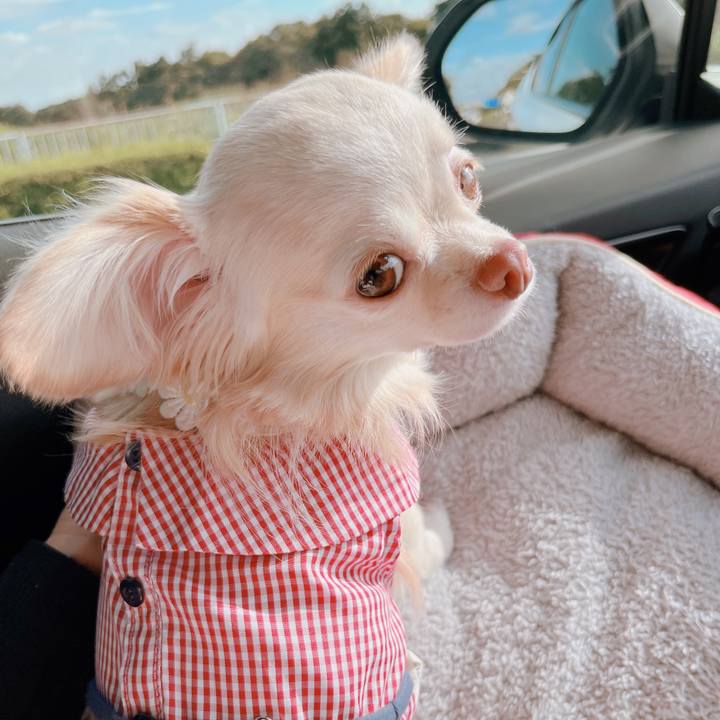 54e5ca55 6a88 4aa1 90d1 ae0f1e5fc1ea 1665818745060