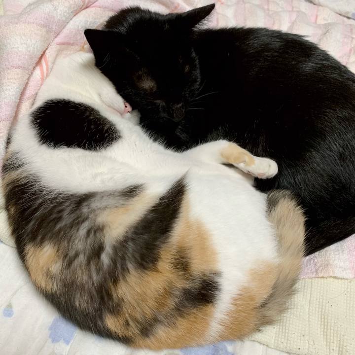 54e5fde2 f971 4927 9d1d 700d8ad93e56 1540085897503