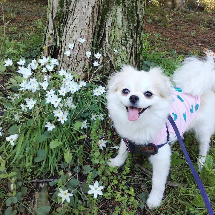 54e62d8f 639c 4efd afd5 31b1e3d0cfc3 1681828145993