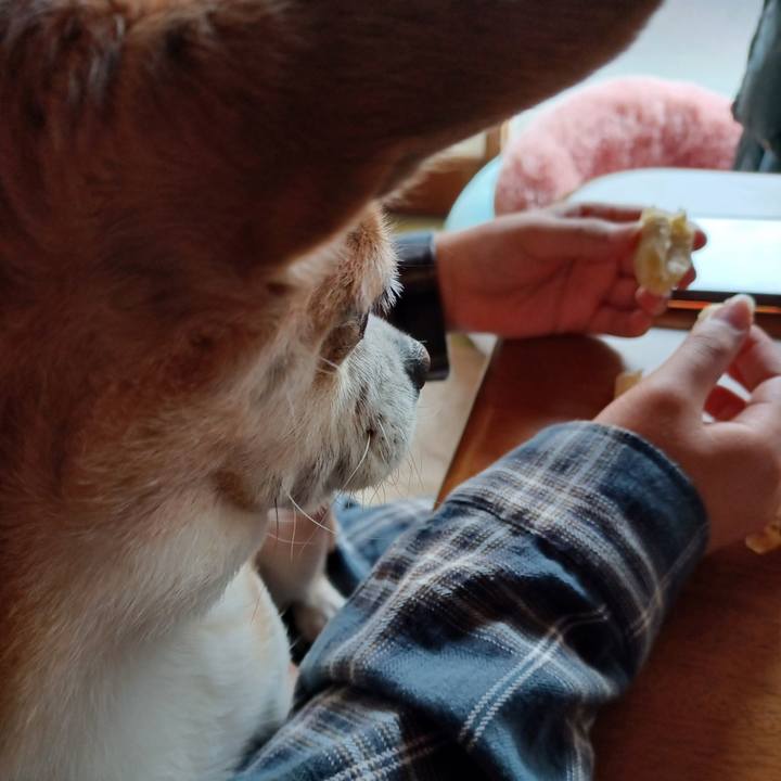 54e63cb4 657a 4007 809d 8fd4c03b1d82 1774394089821