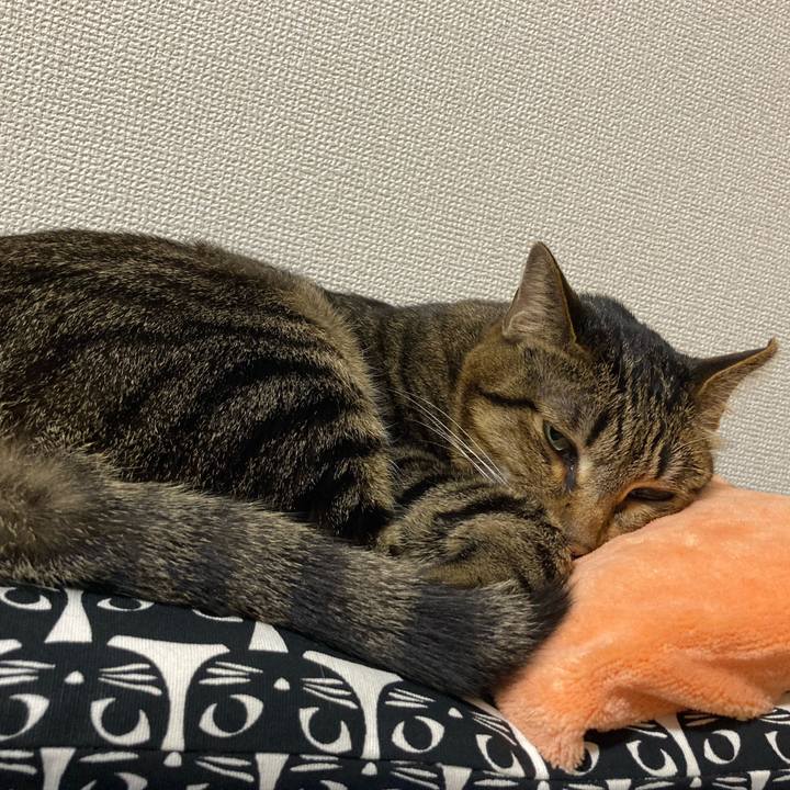 54e6417d 9d1d 4d99 a1d0 25757d0e3feb 1650457447108