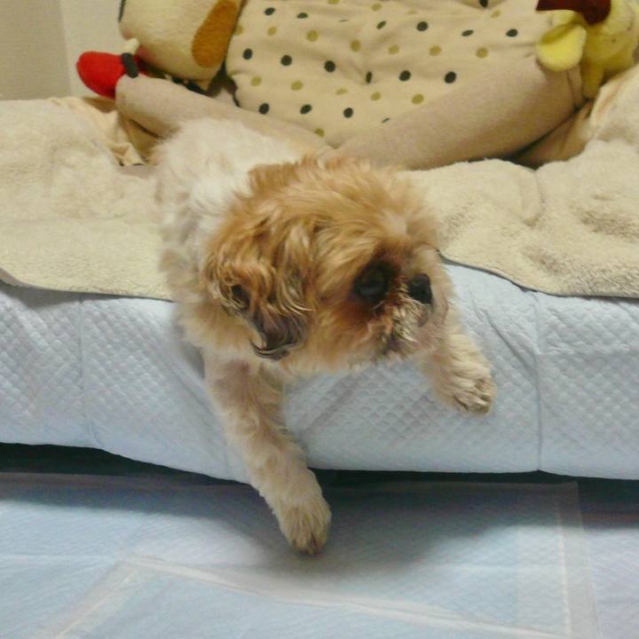 54e66d60 eebb 4381 81ed 952ffa6933d4 1660350151260