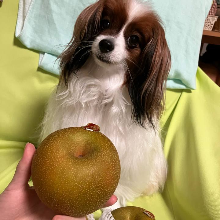 54e67a5e 0a0a 4a58 8e67 035145842ee7 1690800098986