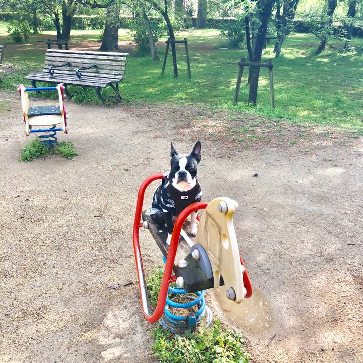 54e6acf4 cf5c 49cd adc3 b44191c567ac 1523495310363