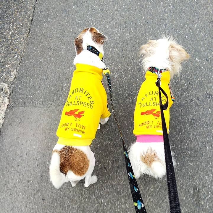 54e6b403 01fb 43a0 a203 3eaf5ae85801 1575784842071