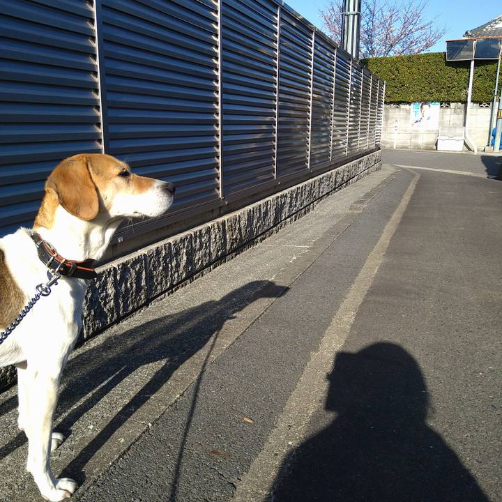 54e6ce9c 1e40 40e2 87e3 7b402121d37d 1648366293433