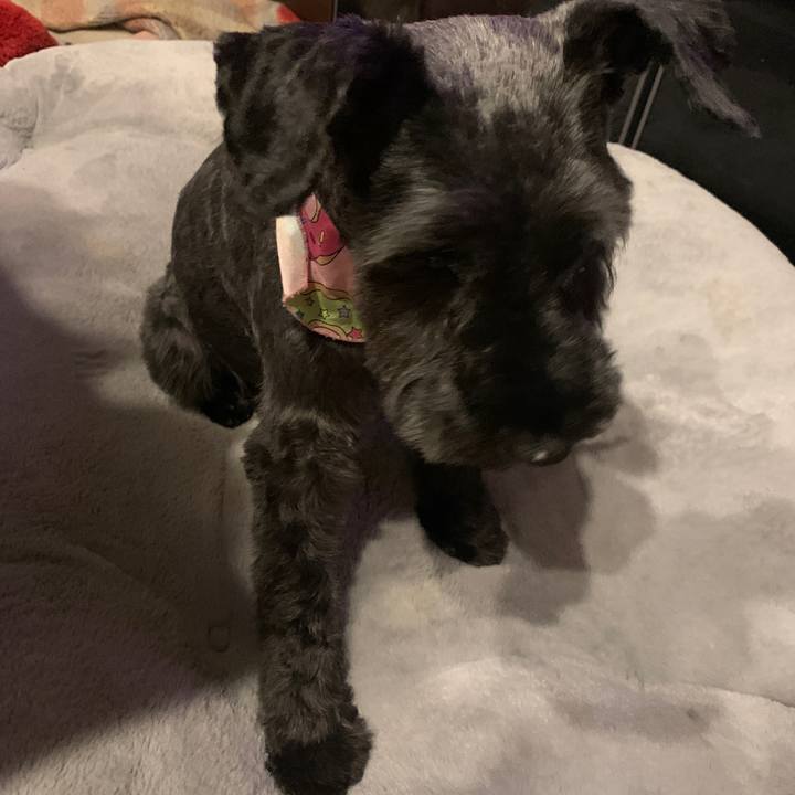 54e6d89c 5fab 4f1c 8b29 9a77700e3e7d 1645869003968