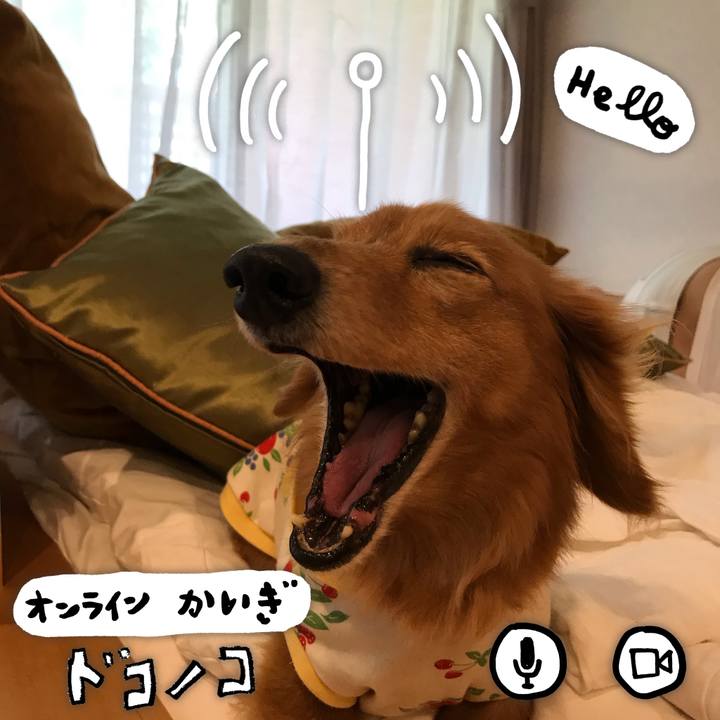 54e717ed 90cd 48c8 9029 74321b2eb2d4 1590711400960