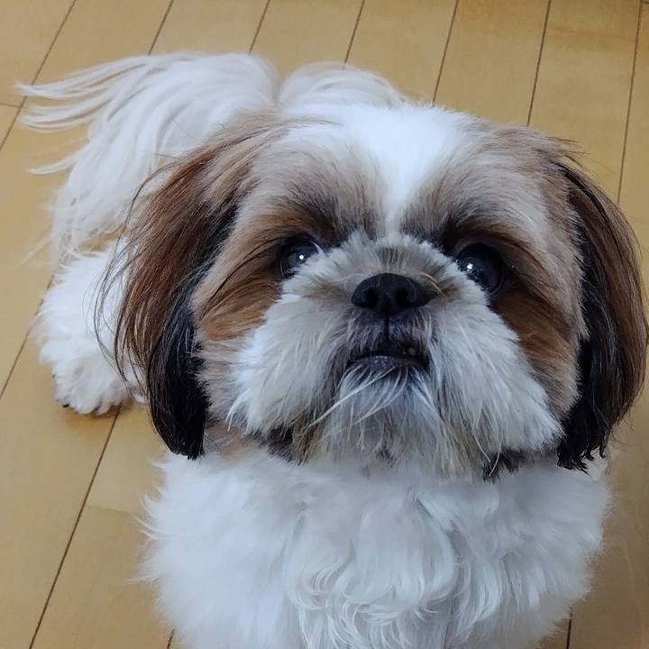 54e72524 654d 4ace 9129 41bdb835323f 1718865331648