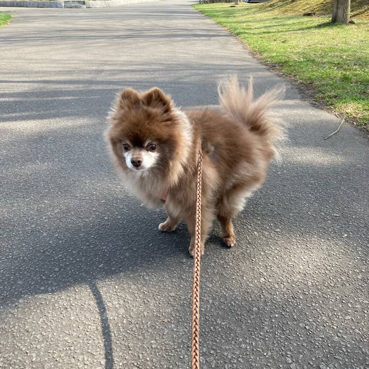 54e79ca5 52a0 45b5 8f3a da4b7d4cac13 1649731524609