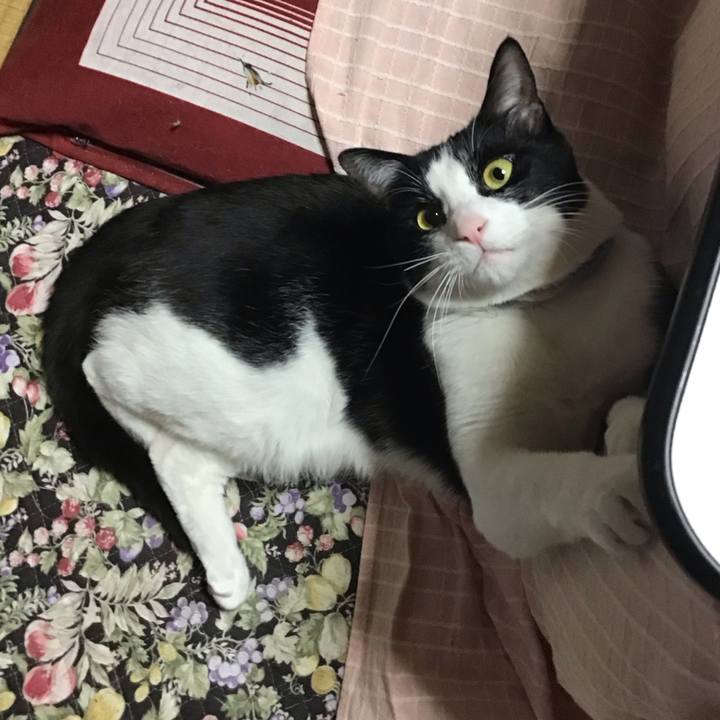 54e7b8a7 486b 4d27 a6d3 fdb8c297bdc3 1681822396167