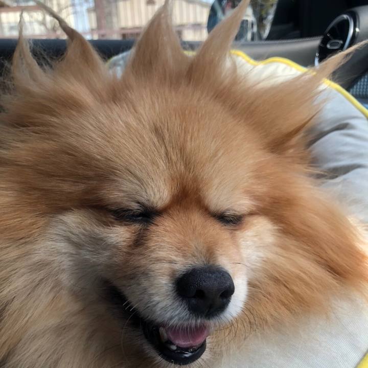 54e7cf66 e150 46f9 b140 077ceb35b572 1617969698210