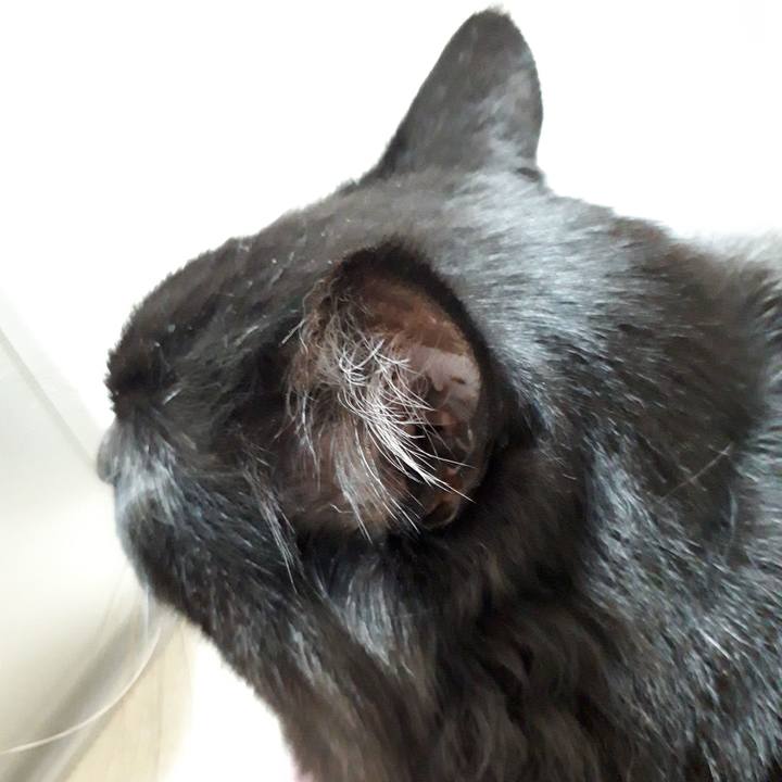 54e805ff 2444 4f0c 8dd2 8d95962a94ab 1519338047775