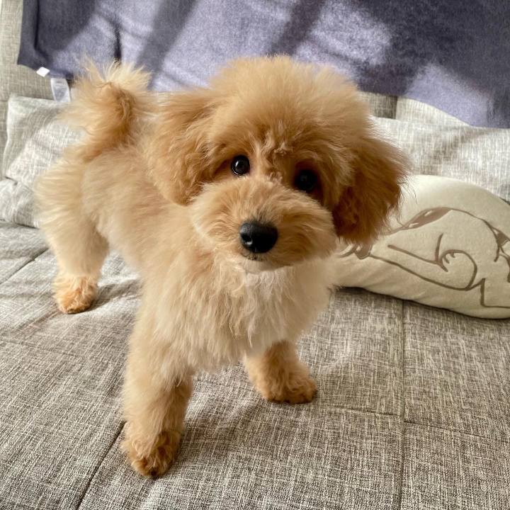 54e815fa 438c 40d1 af95 07570b625c77 1646041303933