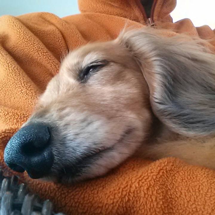 54e84cd2 5e70 4e0d 8517 8b90fa0c8b1f 1589033201182