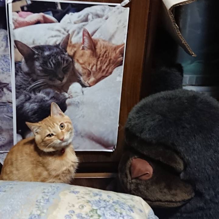 54e86295 0441 45de 9f9d 66c265d678f5 1634473812082