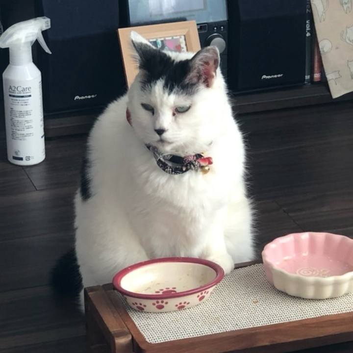 54e8780c 162a 4c71 949d 9991cb74abaf 1710092971316