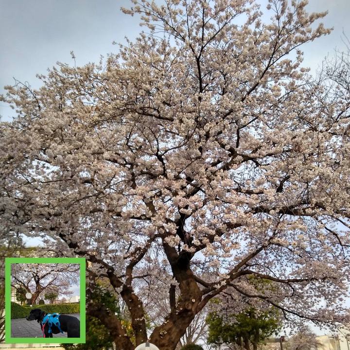 54e89ab7 d2d7 49a5 840b 3e64b4739ca0 1616640185908