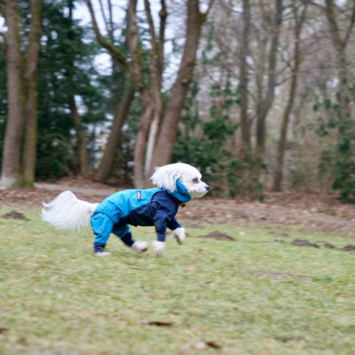 54e8cf2e 5d5f 415e a63f dca1cf91a99c 1769121481126