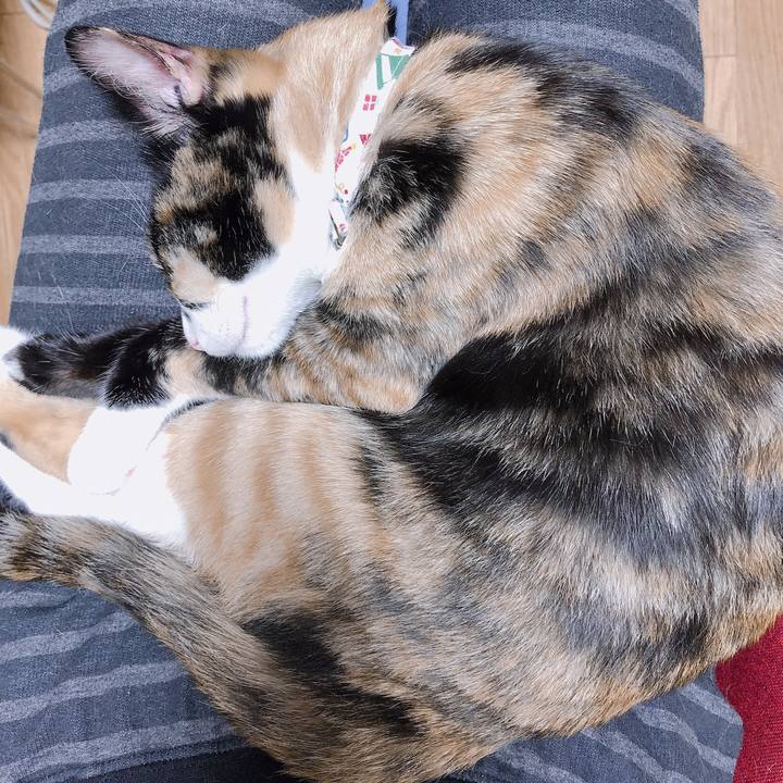 54e942e2 2e0e 4dbb 9359 31bb5e8faa04 1571144641205