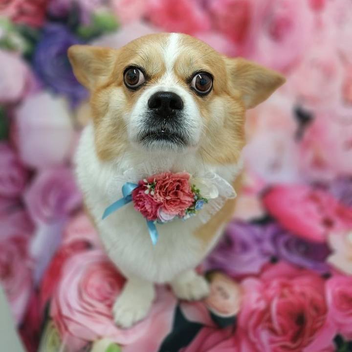 54e9ac1b 9330 4fb9 8546 e8e4e808af06 1748472919288