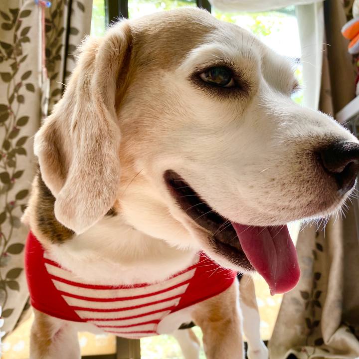 54e9b5e8 2abf 4d1b ae5d 1391c54abd6c 1591935732055