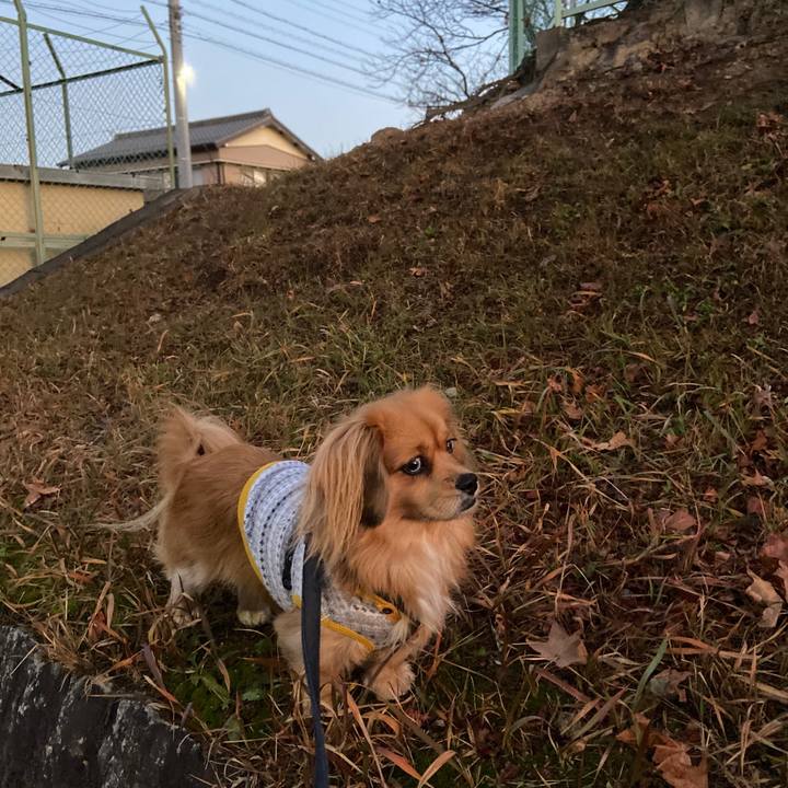 54ea3ec3 f553 4b15 bfd1 c42262e0fd27 1577137543477