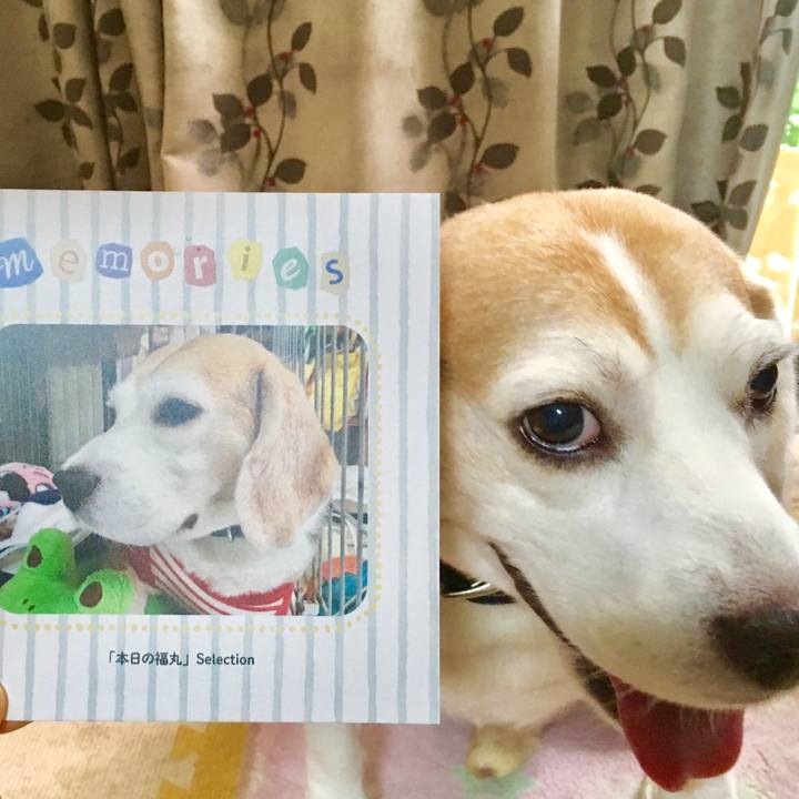 54ea9961 4147 4ac9 bdd0 c7d390cfde72 1566531398179