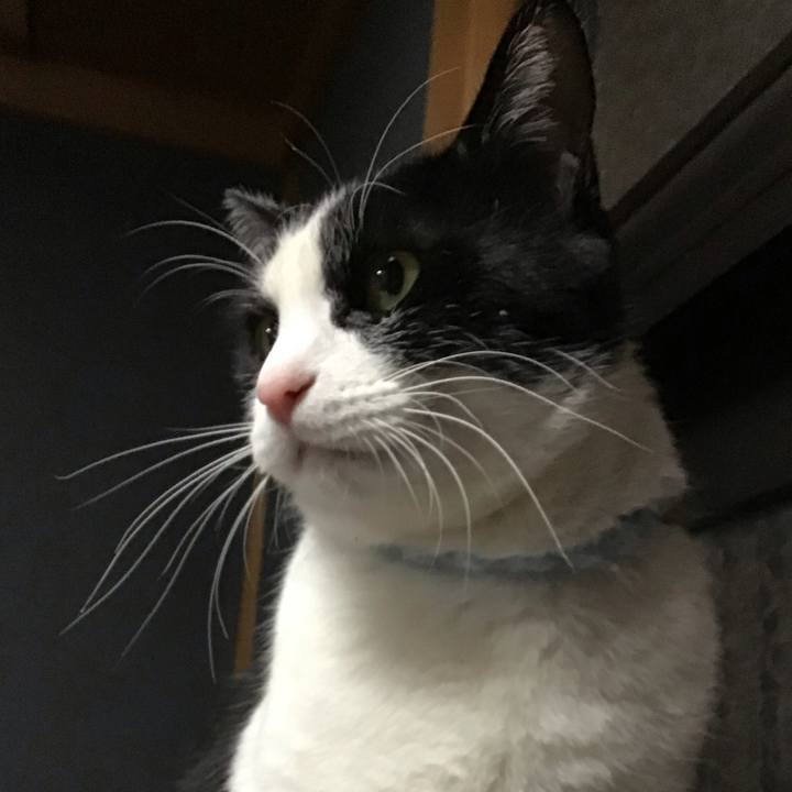 54eaa17b dda3 4754 acb7 b01575782f39 1737463272407