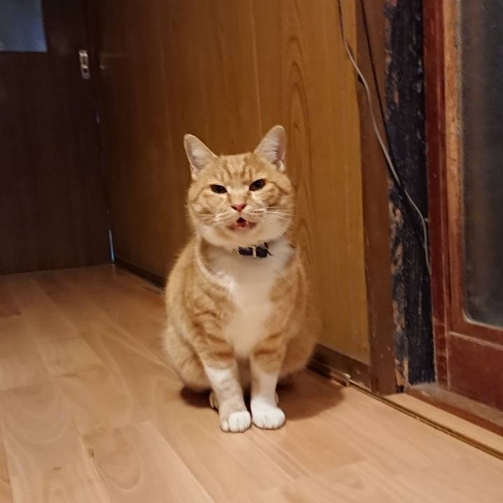 54ead849 babc 47ed 99a6 303d81a621cd 1608195770991