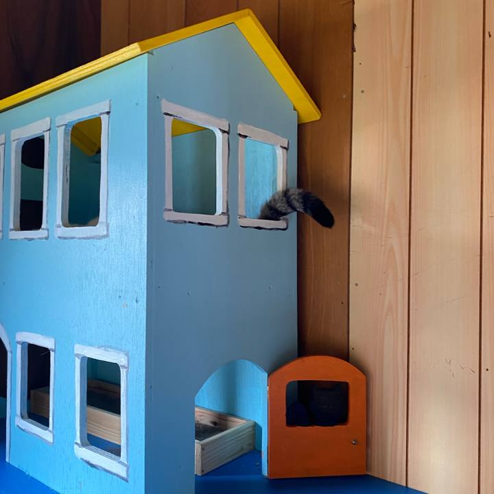 54ead944 311f 49c9 973e 170d7e290ef2 1728981749960