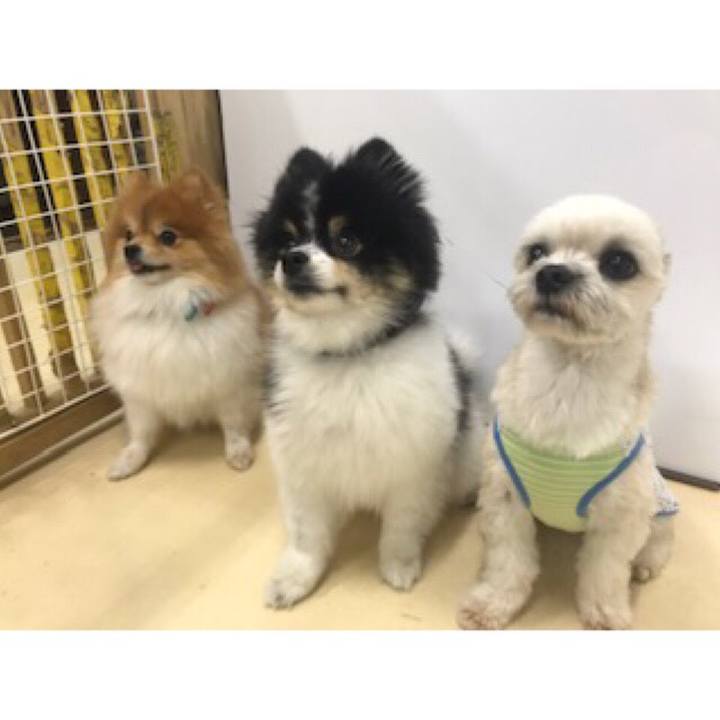 54eadb4c e615 4ba6 823b d021541f798b 1539686791212