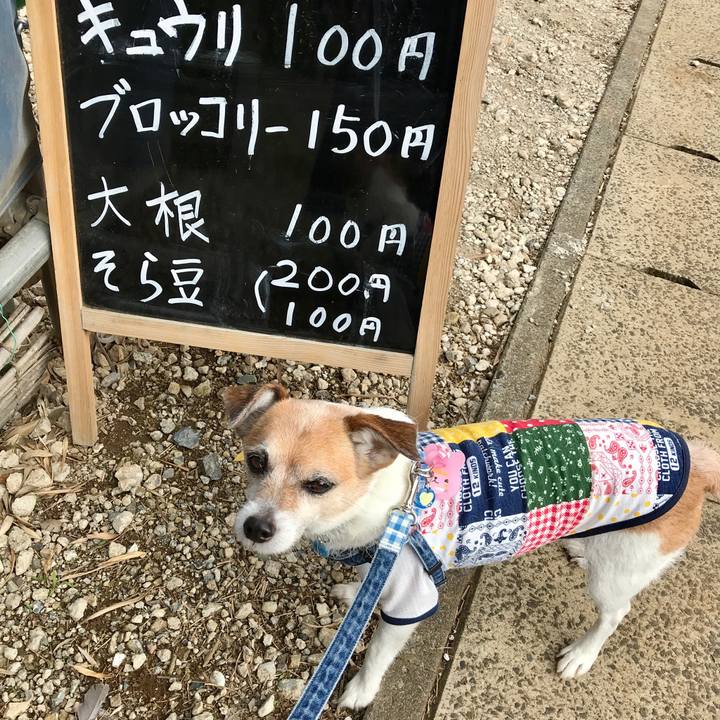 54eaf3ea bbfa 44ff 95d7 05fab5262e3c 1622533595524