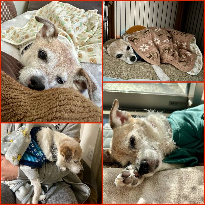 54eaf674 fe3a 4b42 b722 852c648c623a 1735889409860