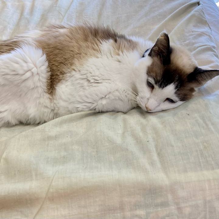 54eafc60 8a8b 4695 87e6 f27e713f0752 1679358995762