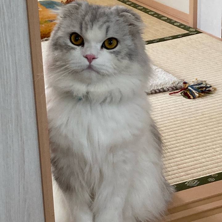 54eb17fb b674 4e2c a7e3 4e2b645db930 1620601827012