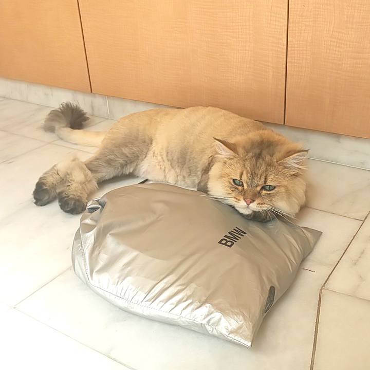 54eb1c4a 433b 423e b478 d3455dc96e7f 1599183028404