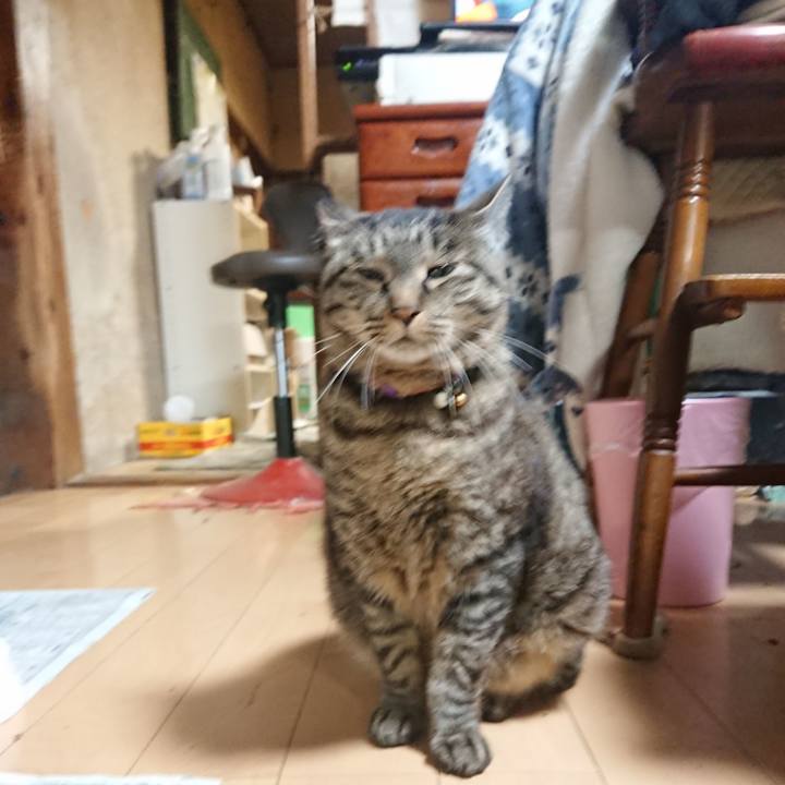 54eb378c f888 4d8f a7d7 412534527b51 1653562993740