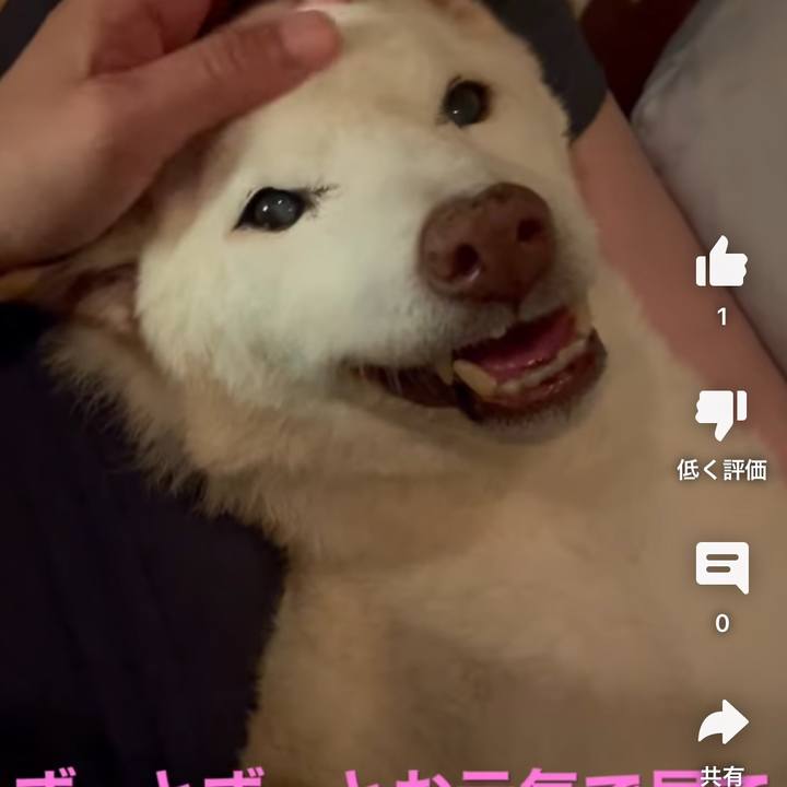 54eb5bd0 0af4 4ead 9c86 8757dc5268e2 1679669597960